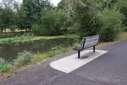 Bench overlooking Turtle Pond with companion seating on hard surface